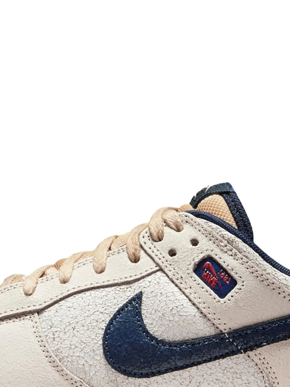 Nike Dunk Low Sneakers