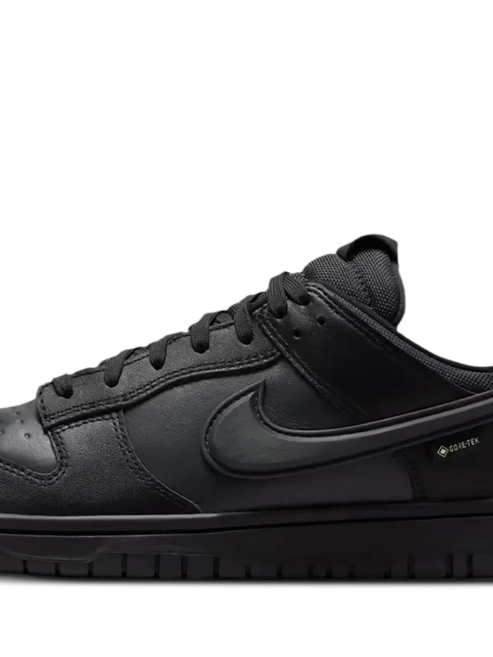 Nike Gore-Tex Dunk Low-Top Trainers
